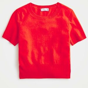 J. Crew 100% Cashmere Tee (small)